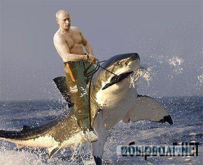 Путин на страже