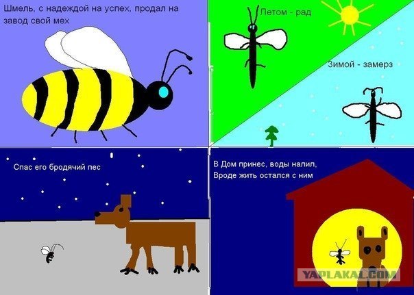 Карты,зебра,лесопарк...