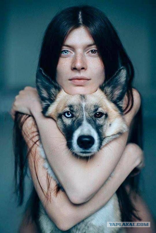Веселые картинки