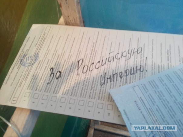 Сходил на выборы