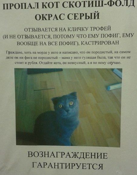 Картинки и гифки.