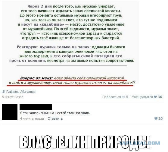 Ужасы и приколы из соцсетей 18+