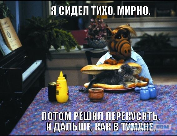 "Альф". 30 лет спустя