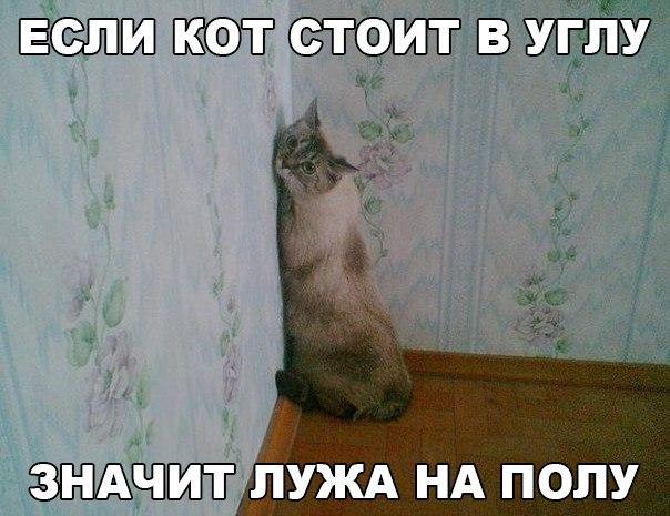 Всяко - разно...картинки