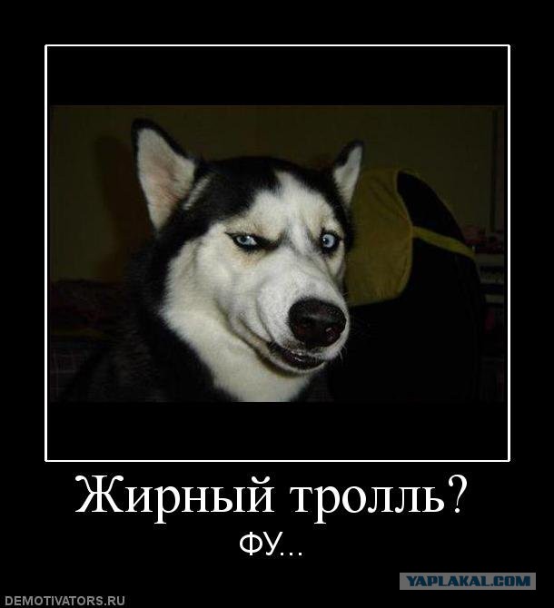 До чего же девушки жадные пошли...