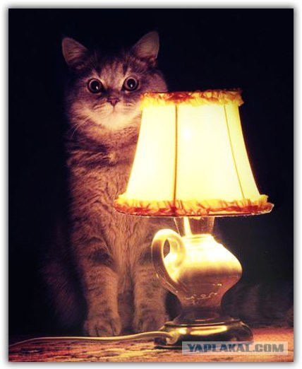 Парень Лёша