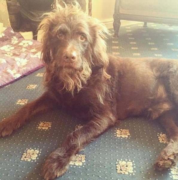 Подборка интересных и веселых картинок