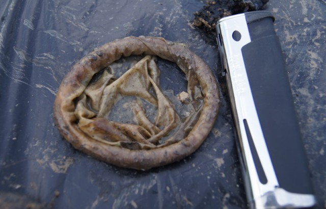 Поднятие Мессершмита-109 барона Адольфа фон Гордона