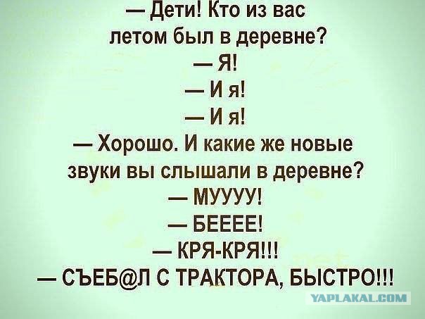 Несколько веселых картинок