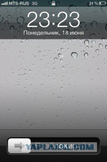 Волшебные грибочки