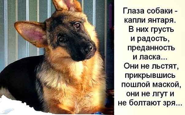 Будет чего-то из сетей