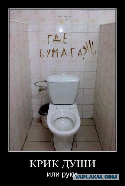Как появилась туалетная бумага, и чем пользовались до ее изобретения