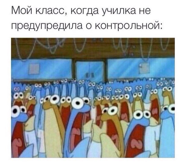 Немного веселых картинок для пятничного настроения