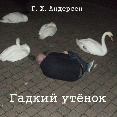 Специфический юмор