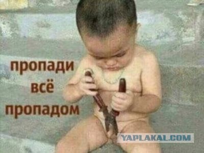 Прямая трансляция обращения В.В.Путина