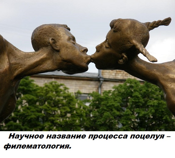 Подборка бесполезных фактов.