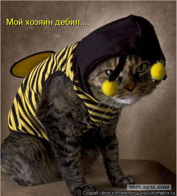 Я и мой хозяин-дебил!
