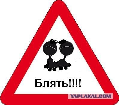 Камеры на дорогах Москвы
