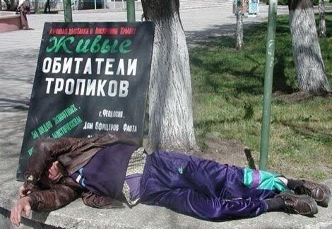 Скотсети и прочие интернеты 05.04.19