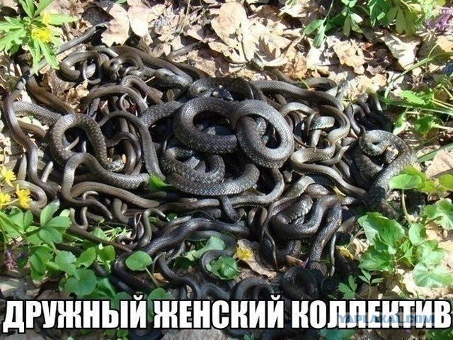 Тайный женский клуб!