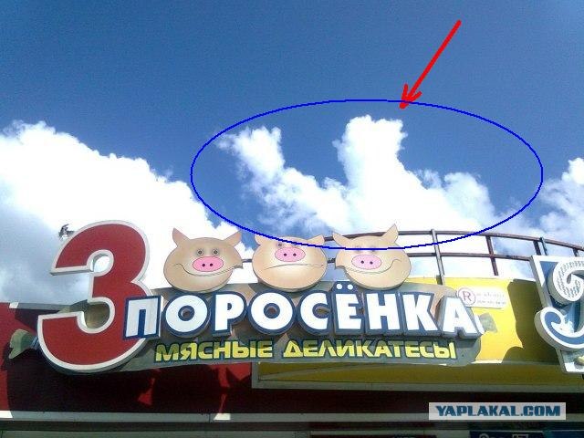 По-моему, средний о чем-то догадывается ;)