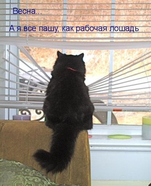 Чуток картинок.  Вечерние