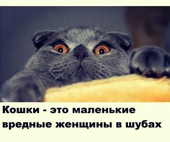 Так себе картинки 14.05.20