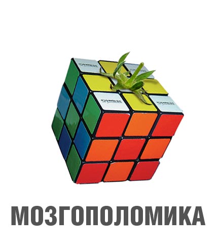 Фотожаба: Лето, фрукты, генетика!
