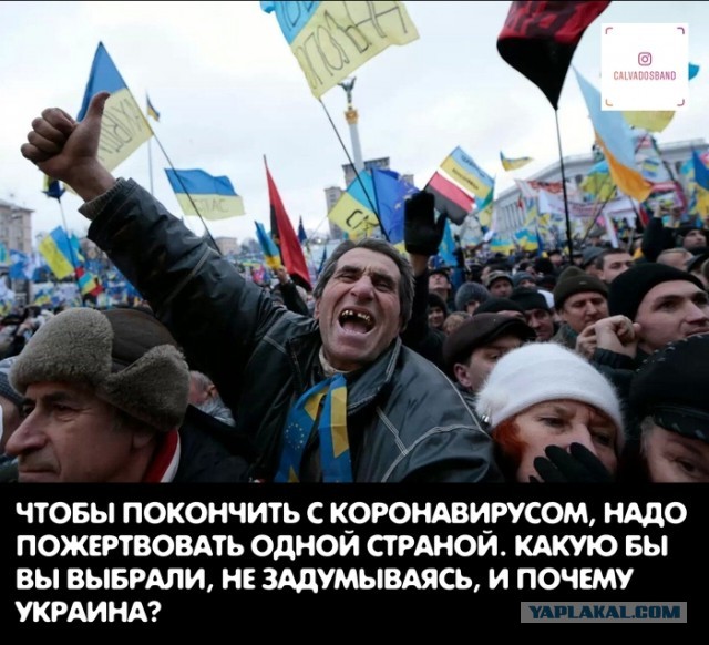 Экзитпол: Лукашенко набирает 79,7%