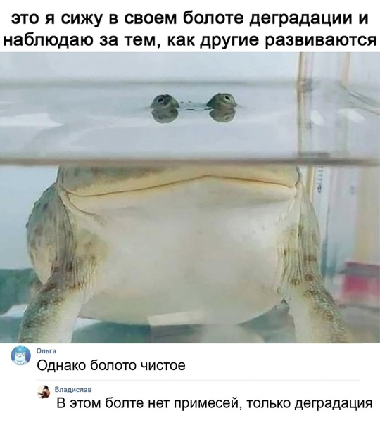 Аморальная деградация