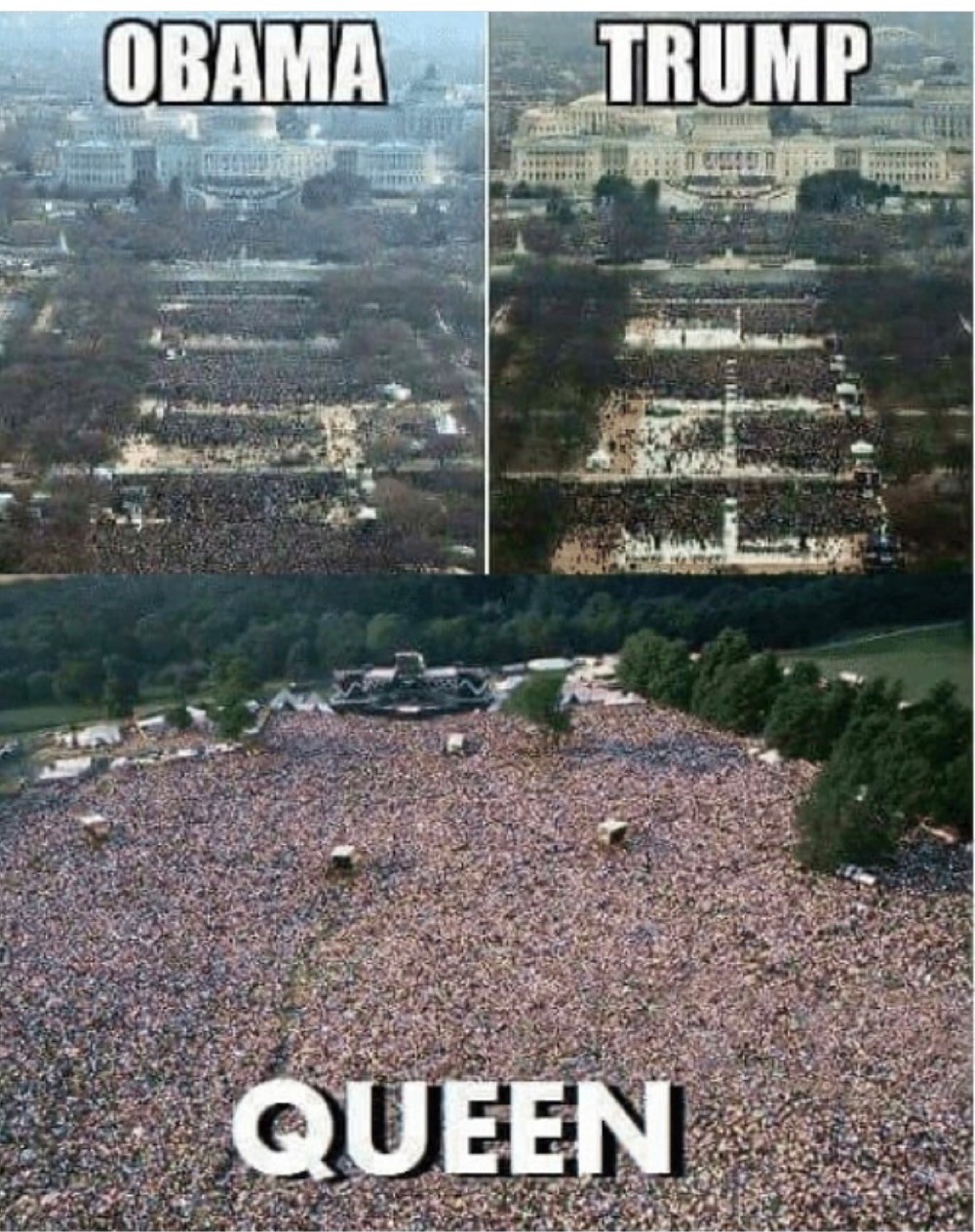 15651043.jpg