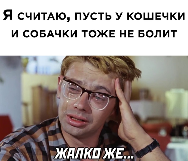 Картинки и мемы для настроения 23.06.2021