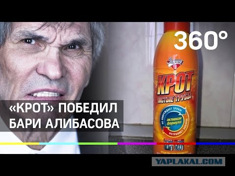 Не пускайте Бари Алибасова в ашан!