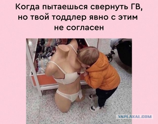 Картинки и мемы для настроения 13.12.2021