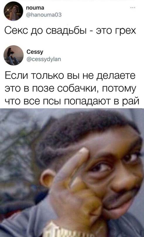 Весёлый полтишок 20.01