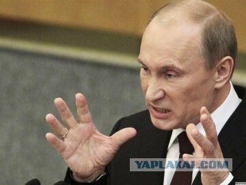 Владельцев собак предупредили о штрафах до 200 тысяч рублей