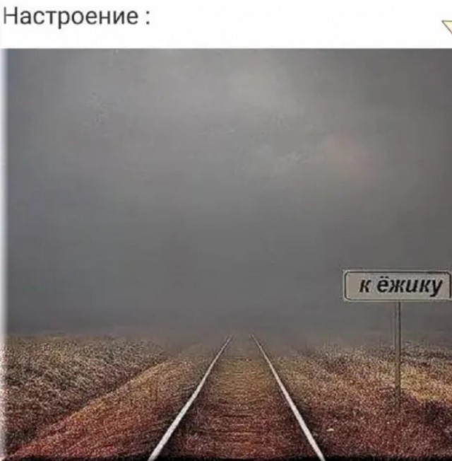 Так себе картинки 14.04.22