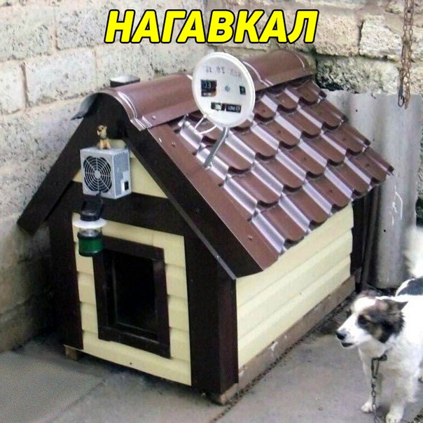 Картинки и мемы для настроения - 31