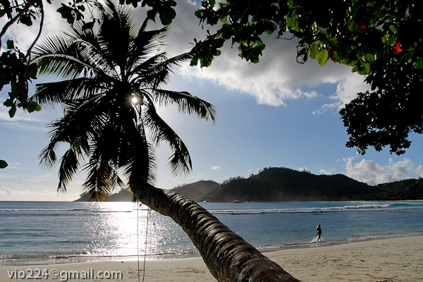 Сейшеллы октябрь 2012