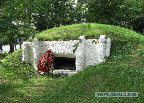 Белгородская область формирует на границе с Украиной «засечную черту»