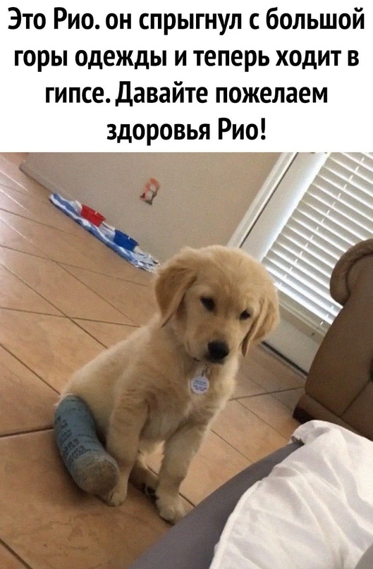 Картинки и мемы для настроения - 133