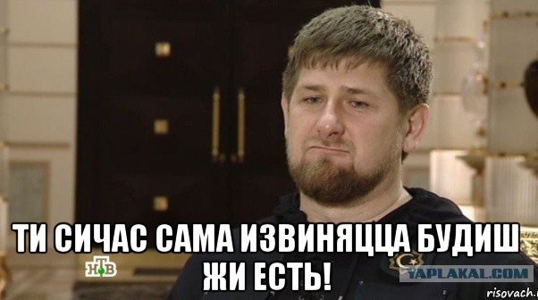 Картинка кадыров извинись