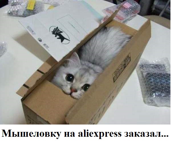 Немного картинок для настроения - 151