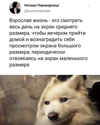 Картинки и мемы, всяко разно - 179