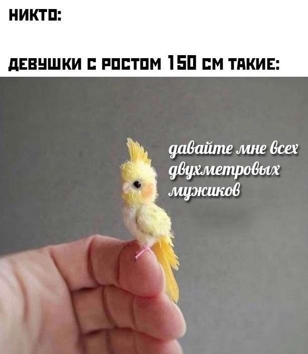 Нуштош 20.06.2023