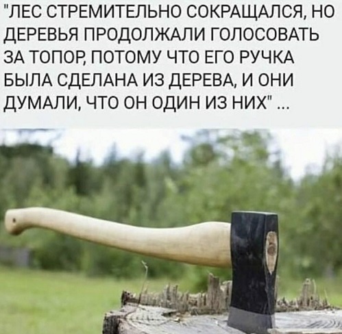 Счетная палата отчиталась о сокращении числа пенсионеров в России на 800 тысяч человек за год