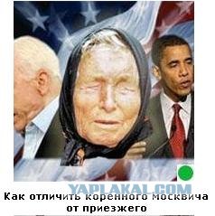 Автодемотиватор на ЯПе