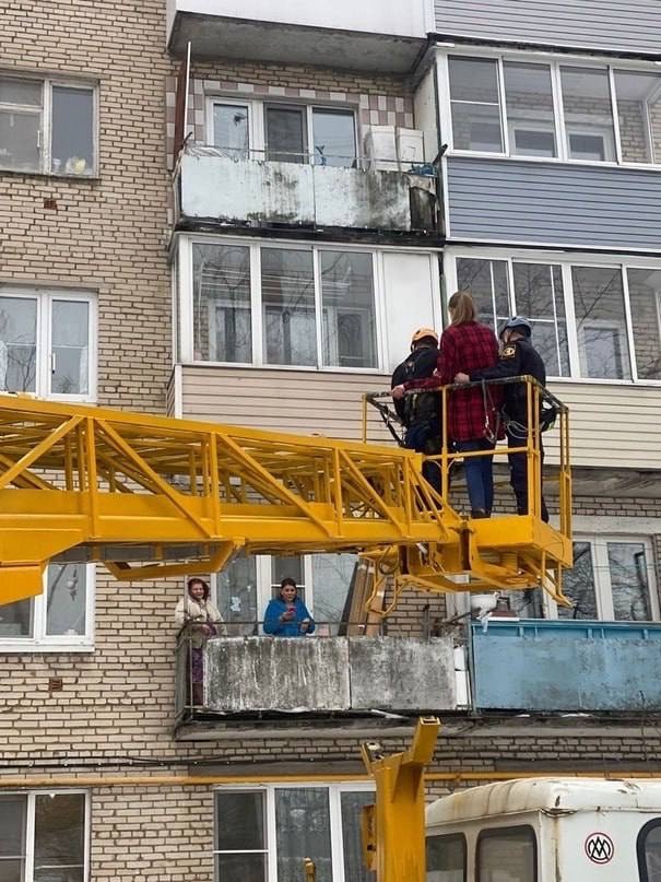 История про кошку в день кошек