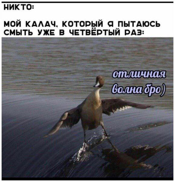 Так себе картинки 04.05.24