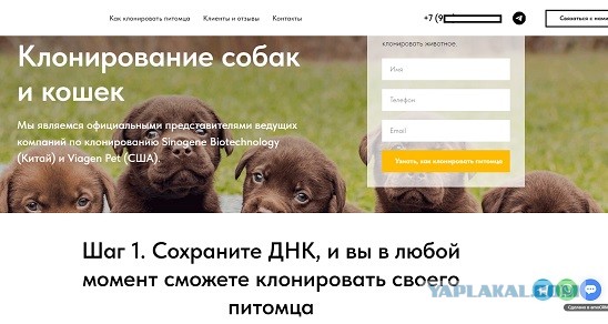 Офигеть. Это теперь вот так открыто и просто?